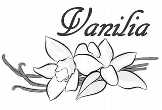 VANILIA logo