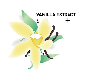 VANILLA EXTRACT + logo