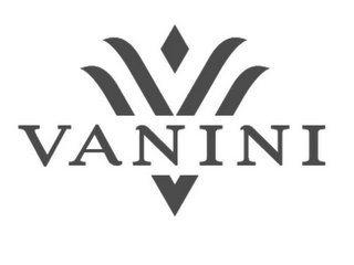 VANINI V V logo