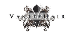 VANITÉ HAIR logo