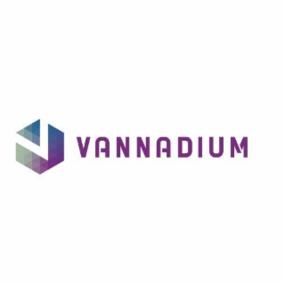 VANNADIUM logo