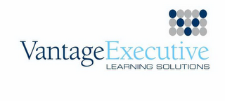 VANTAGE EXECUTIVE LEARNING SOLUTIONS logo