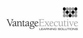 VANTAGE EXECUTIVE LEARNING SOLUTIONS logo