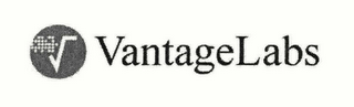 VANTAGELABS logo