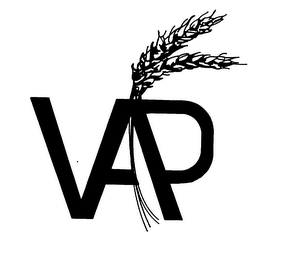 VAP logo