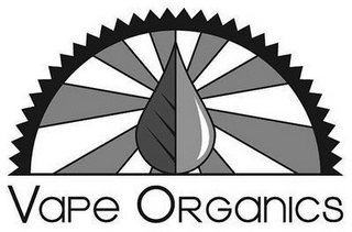 VAPE ORGANICS logo