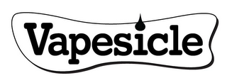 VAPESICLE logo