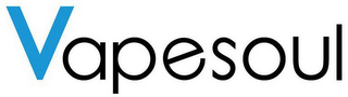 VAPESOUL logo