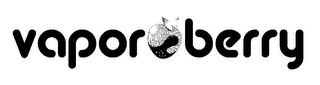 VAPOR BERRY logo