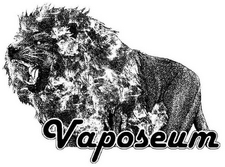 VAPOSEUM logo