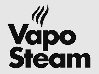 VAPOSTEAM logo