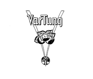 VAR TUNG logo