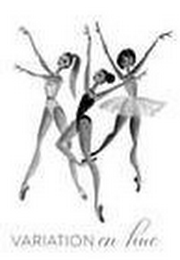 VARIATION EN HUE logo