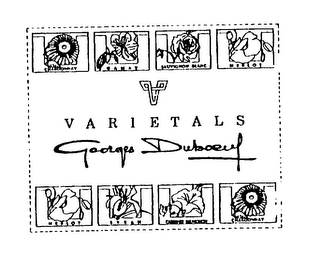 VARIETALS GEORGES DUBOEUF CHARDONNAY GAMAY SAUVIGNON BLANC MERLOT SYRAH CABERNET SAUVIGNON logo