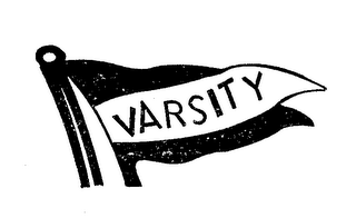 VARSITY logo