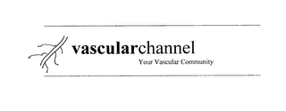 VASCULARCHANNEL YOUR VASCULAR COMMUNITY logo