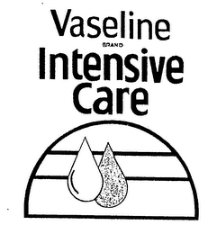 VASELINE BRAND INTENSIVE CARE logo