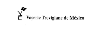 VASERIE TREVIGIANE DE MEXICO logo