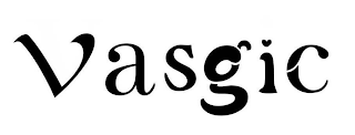 VASGIC logo