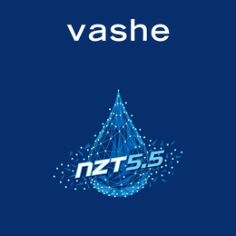 VASHE NZT 5.5 logo