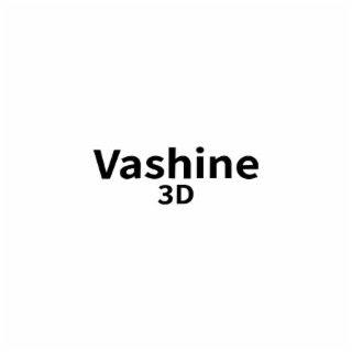 VASHINE 3D logo