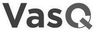 VASQ logo