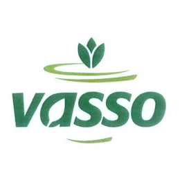 VASSO logo