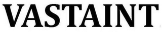 VASTAINT logo