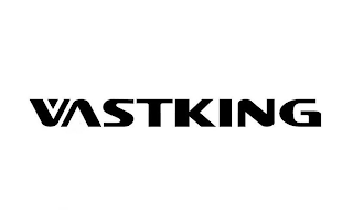 VASTKING logo