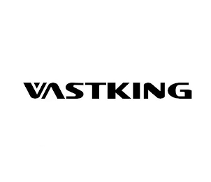 VASTKING logo