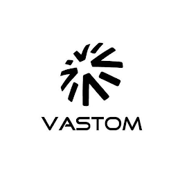 VASTOM logo