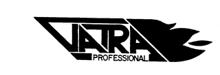 VATRA PROFESSIONAL logo