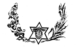 VB logo
