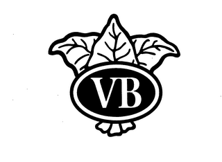 VB logo