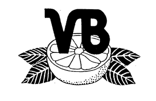 VB logo
