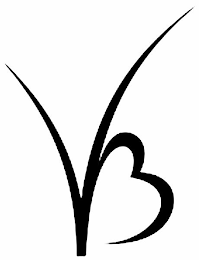 VB logo