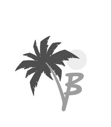VB logo