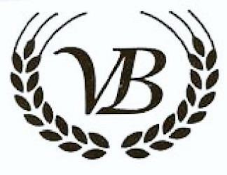 VB logo