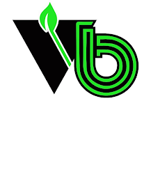 VB logo