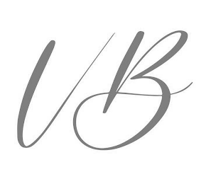 VB logo