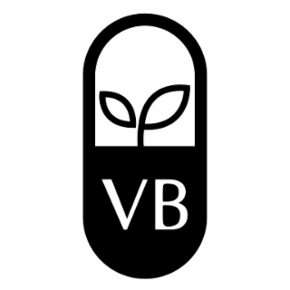 VB logo