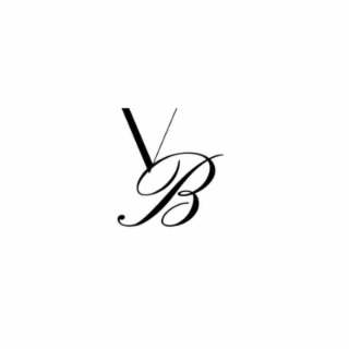 VB logo
