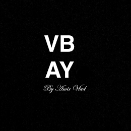 VB AY BY AMIR VLAD logo
