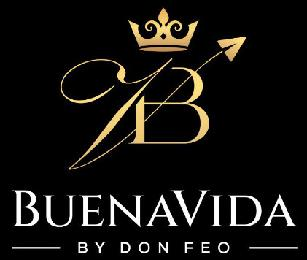 VB BUENAVIDA BY DON FEO logo