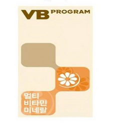VB PROGRAM logo