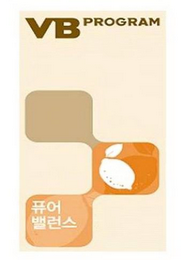 VB PROGRAM logo