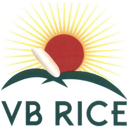 VB RICE logo