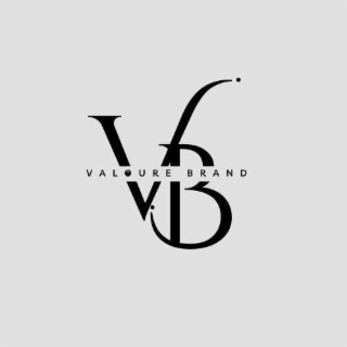 VB VALOURE BRAND (DESIGN) logo