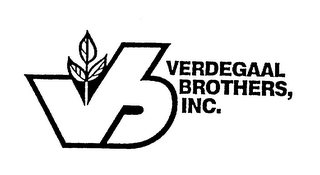 VB VERDEGAAL BROTHERS, INC. logo