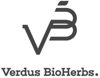 VB VERDUS BIOHERBS. logo